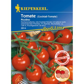 Tomate Picolino F1