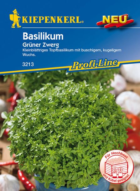 Basilikum ´Grüner Zwerg´