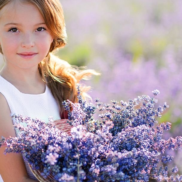 Lavendel, Essence Purple, blau