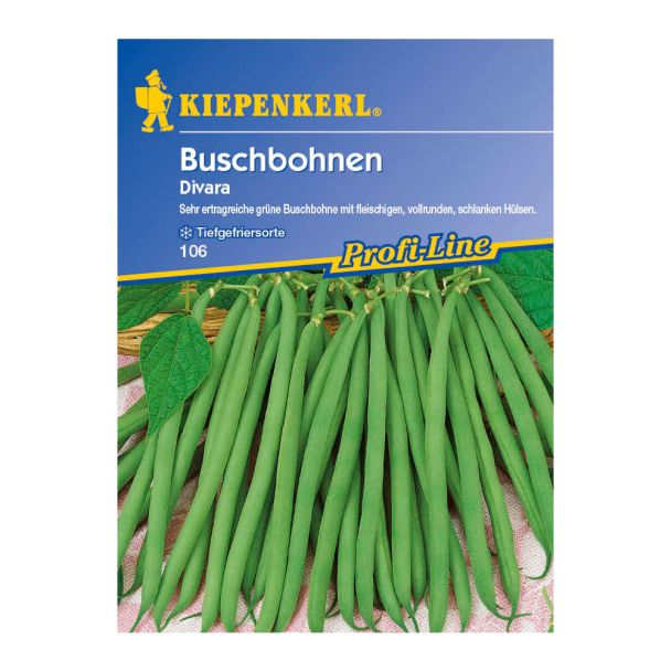 Buschbohnen 'Divara'