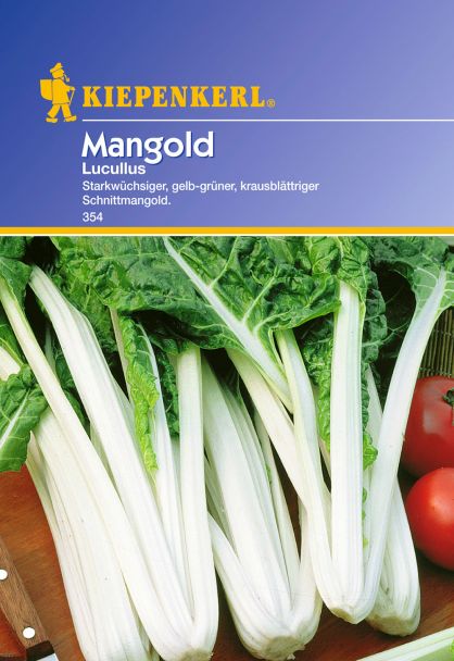 Mangold 'Lucullus'