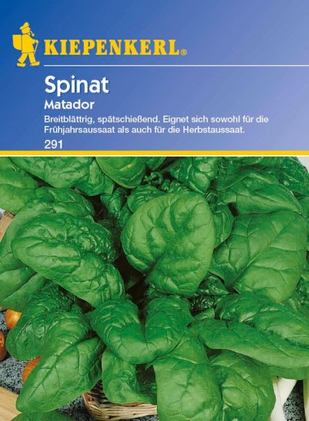Spinat 'Matador Doppelpack'