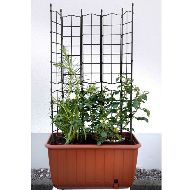 Pflanzkasten Ambizioso mit Rollen (Terracotta) inkl. Spalier