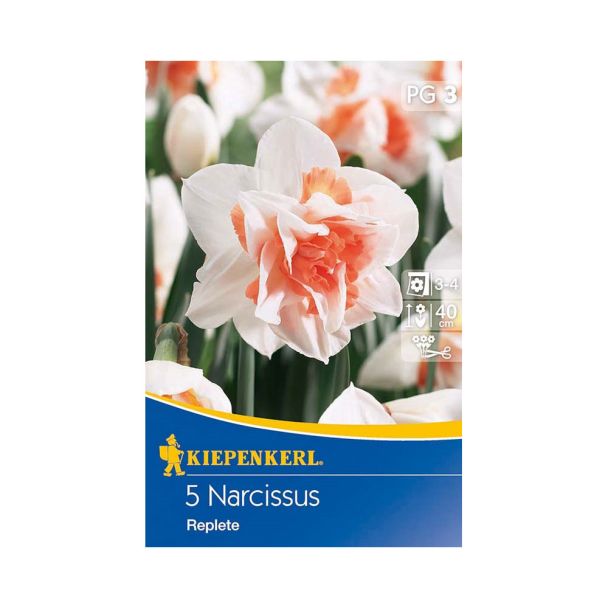 Gefüllte Narzissen `Replete` - Blumenzwiebel