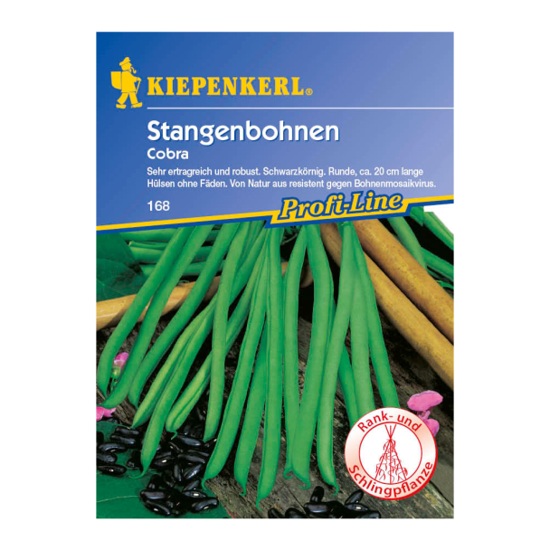 Stangenbohnen 'Cobra'