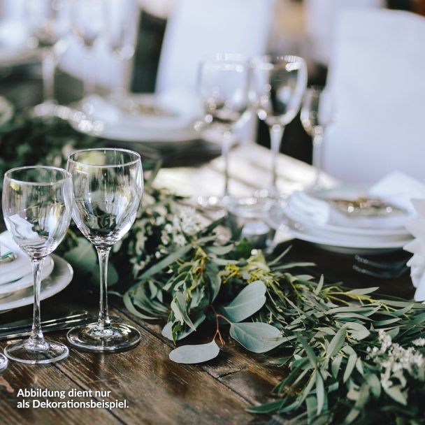 Eucalyptus auf Stamm | Ziergehölz-Stämmchen | Blüh & Ziergehölze