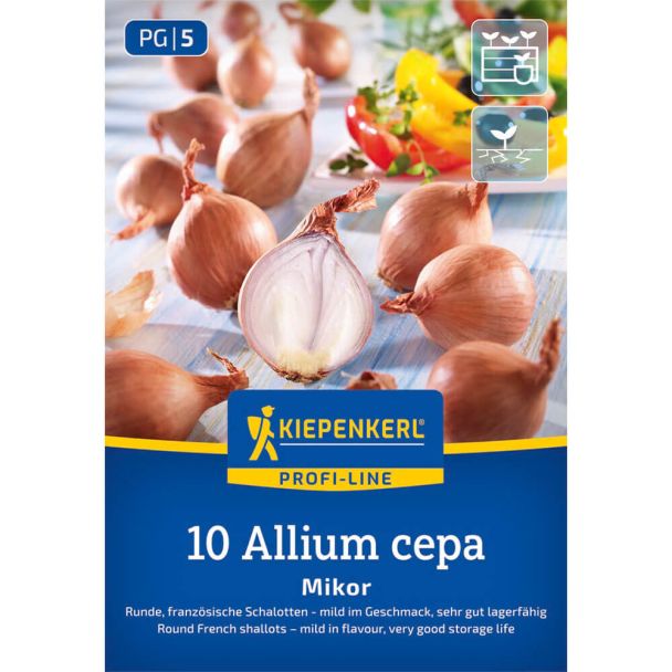 Französische Schalotte Mikor