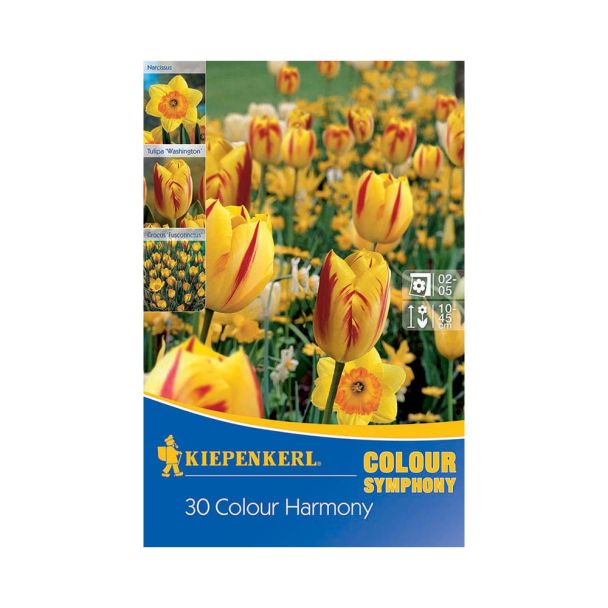 Symphony of Colours 'Colour Harmony' - Farbmischung