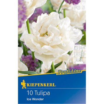 Profi-Line Tulipa Ice Wonder