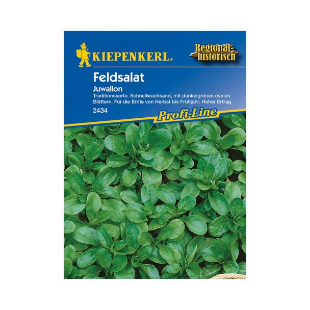 Feldsalat 'Juwallon'