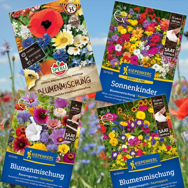 Blumenwiesen für Balkon & Terrasse (Samen-Set)