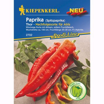 Kiepenkerl Spitzpaprika Thor F1