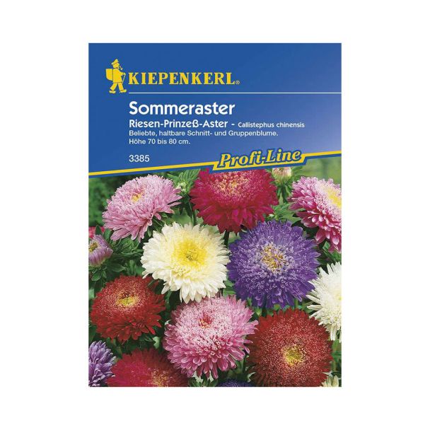 Sommeraster Riesen-Prinzeß - Mischung
