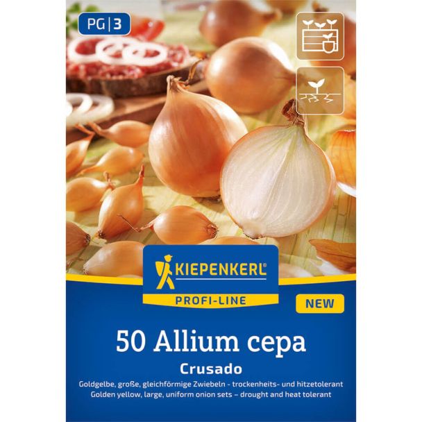 Steckzwiebel Crusado