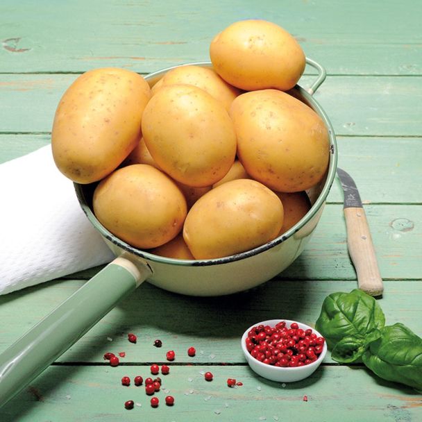 Pflanzkartoffeln Cosma 2,5 kg (1 kg / € 3,60)