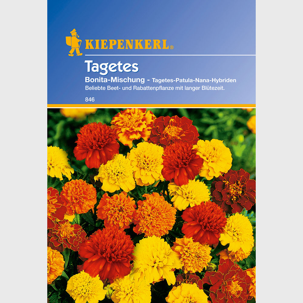 Tagetes 'BonitaMischung' Einjährige Sommerblumen Blumensamen