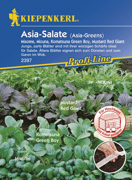 Asia-Salate 'Asia Greens' (Saatband)