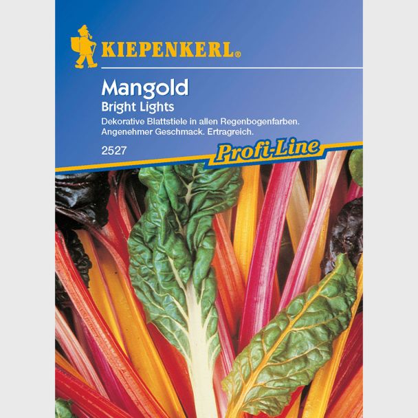 Mangold 'Bright Lights'