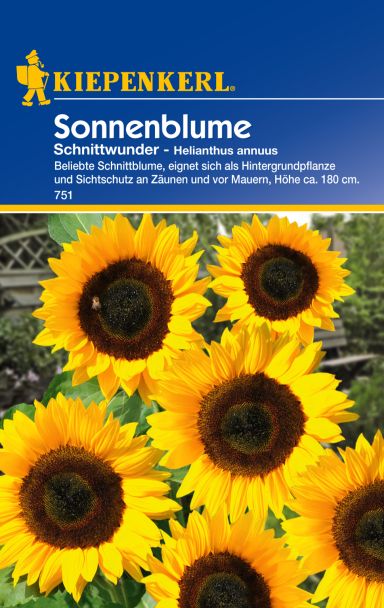 Sonnenblume 'Schnittwunder'