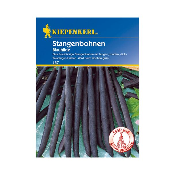 Stangenbohnen 'Blauhilde'