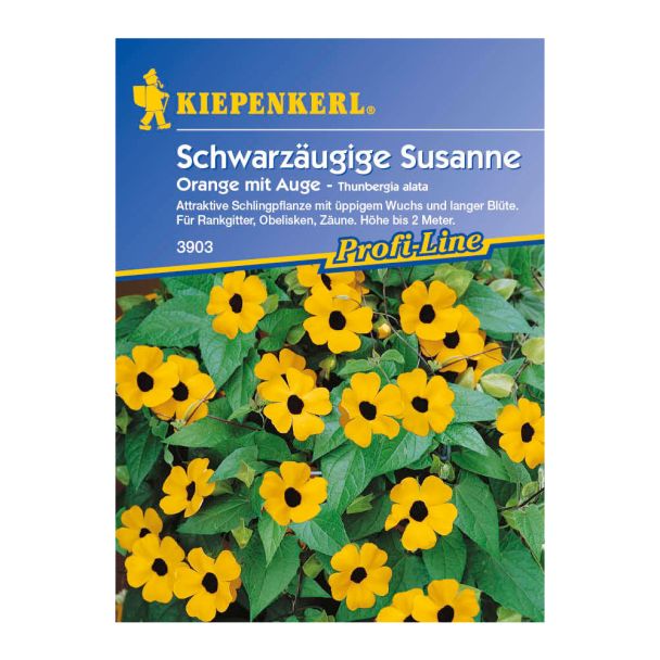 Schwarzäugige Susanne 'Orange mit Auge'