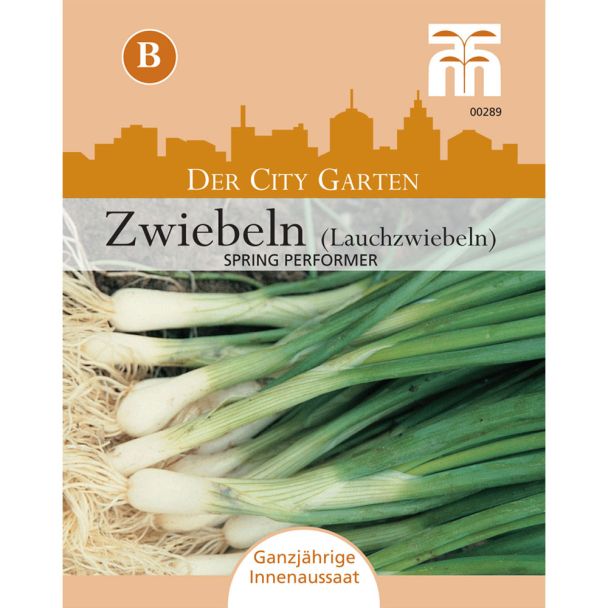 Lauchzwiebel Spring Performer