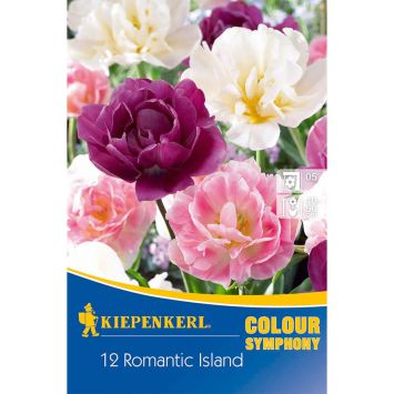 Kiepenkerl Colour Symphony Romantic Island