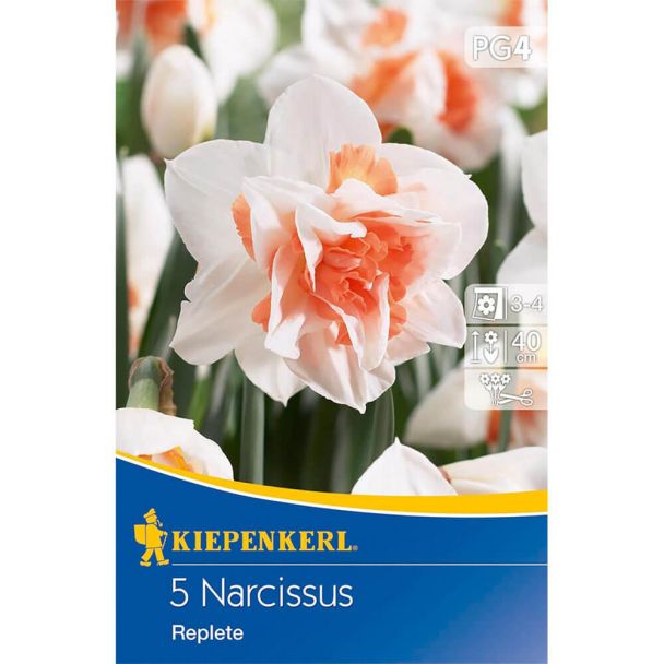 Gefüllte Narzissen `Replete` - Blumenzwiebel