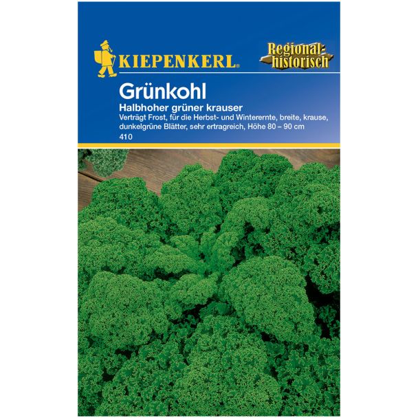Grünkohl 'Halbhoher Grüner Krauser'