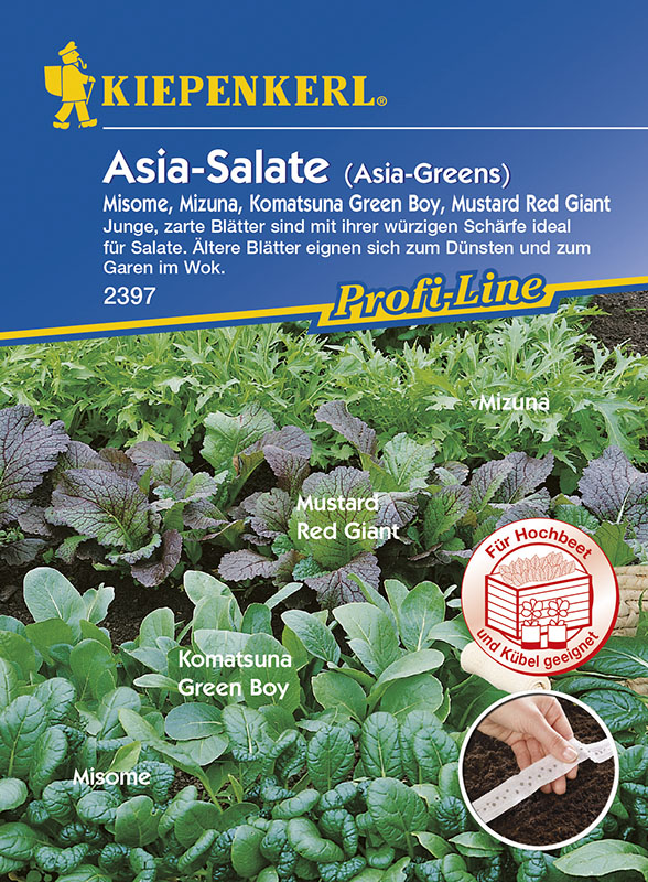 AsiaSalate 'Asia Greens' (Saatband) Salat Gemüsesamen Gemüse