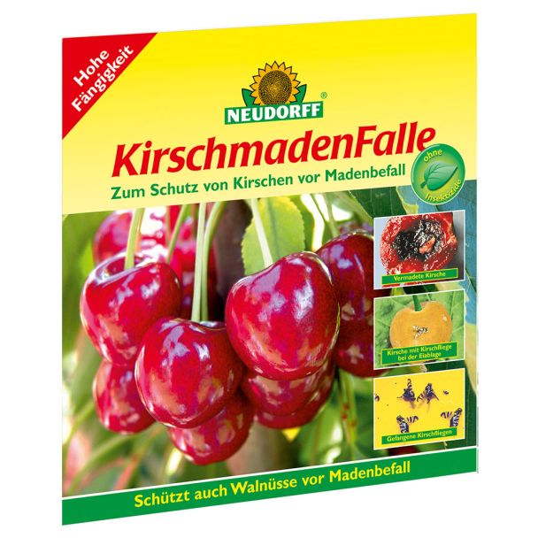 KirschmadenFalle