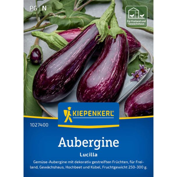 Auberginensamen Lucilla, F1
