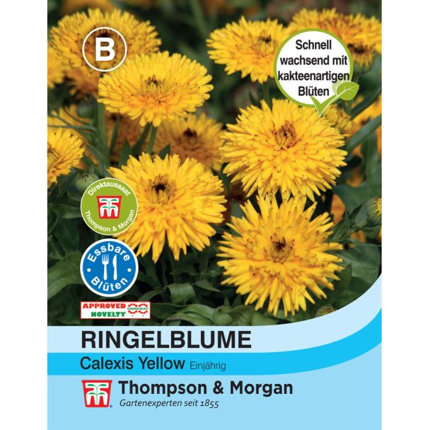 Ringelblume Calexis Yellow