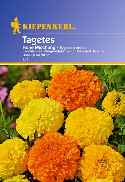 Tagetes 'Hohe Mischung'