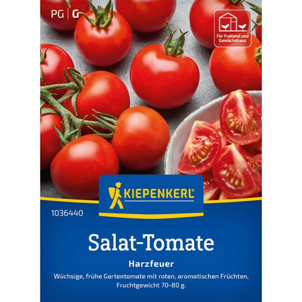 Tomaten 'Harzfeuer' - F1