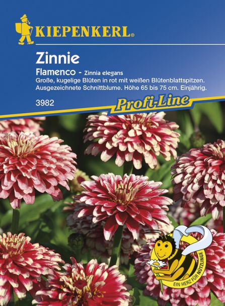 Zinnie 'Flamenco'