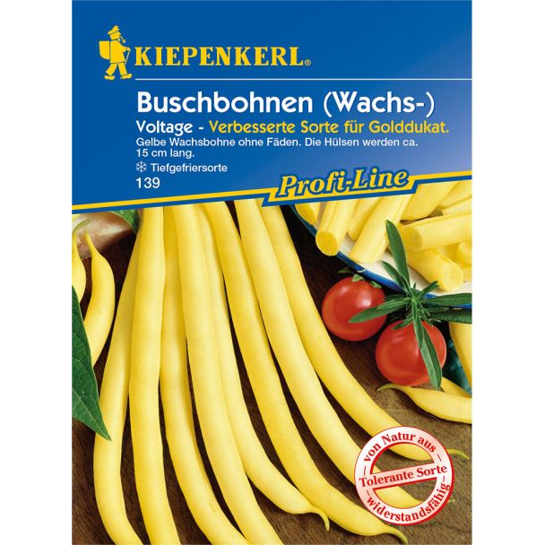 Buschbohne Voltage (gelbhülsig)