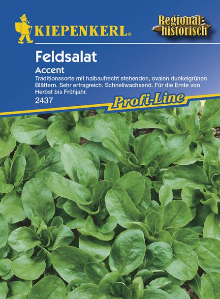 Feldsalat 'Accent'