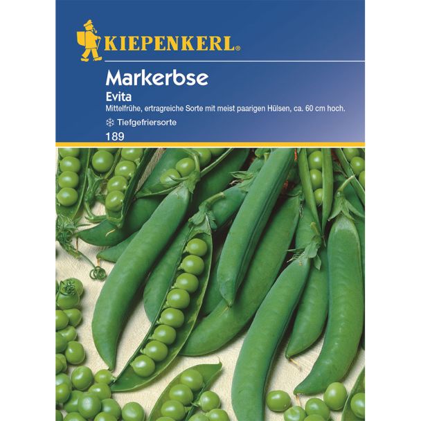 Markerbsen 'Evita'
