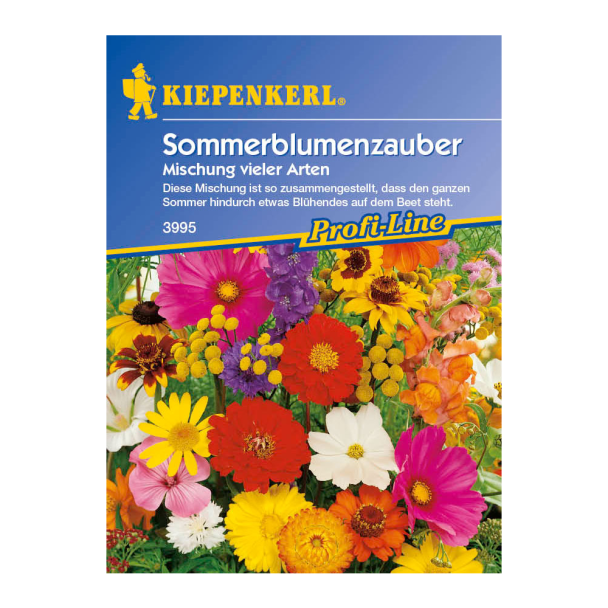Sommerblumenzauber 'Mischung vieler Arten'