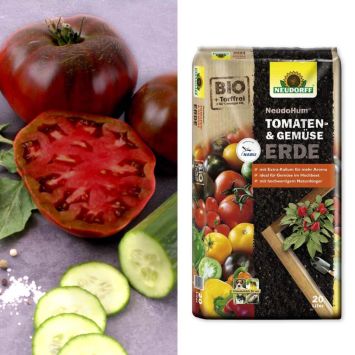 Salat-Tomaten 'Schwarze Krim' + Erde (Sparangebot)