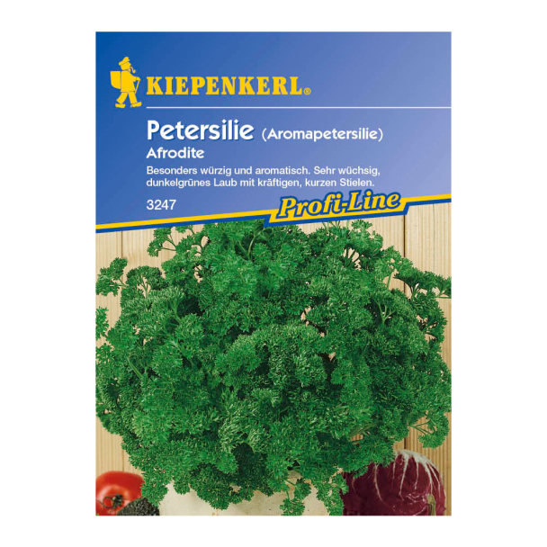 Petersilie 'Afrodite'