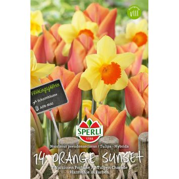 Tulpen- und Narzissen-Mischung 'Orange Sunset'
