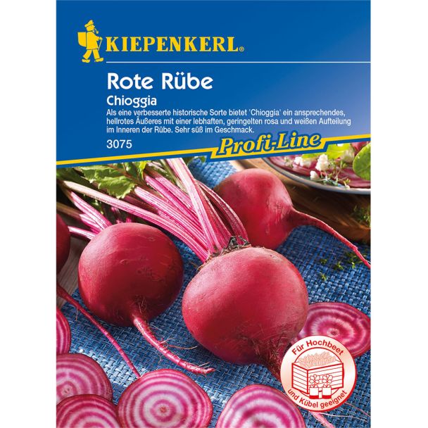 Rote Rübe 'Chioggia - improved'