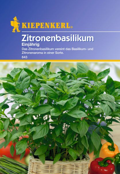 Zitronenbasilikum 'Einjährig'