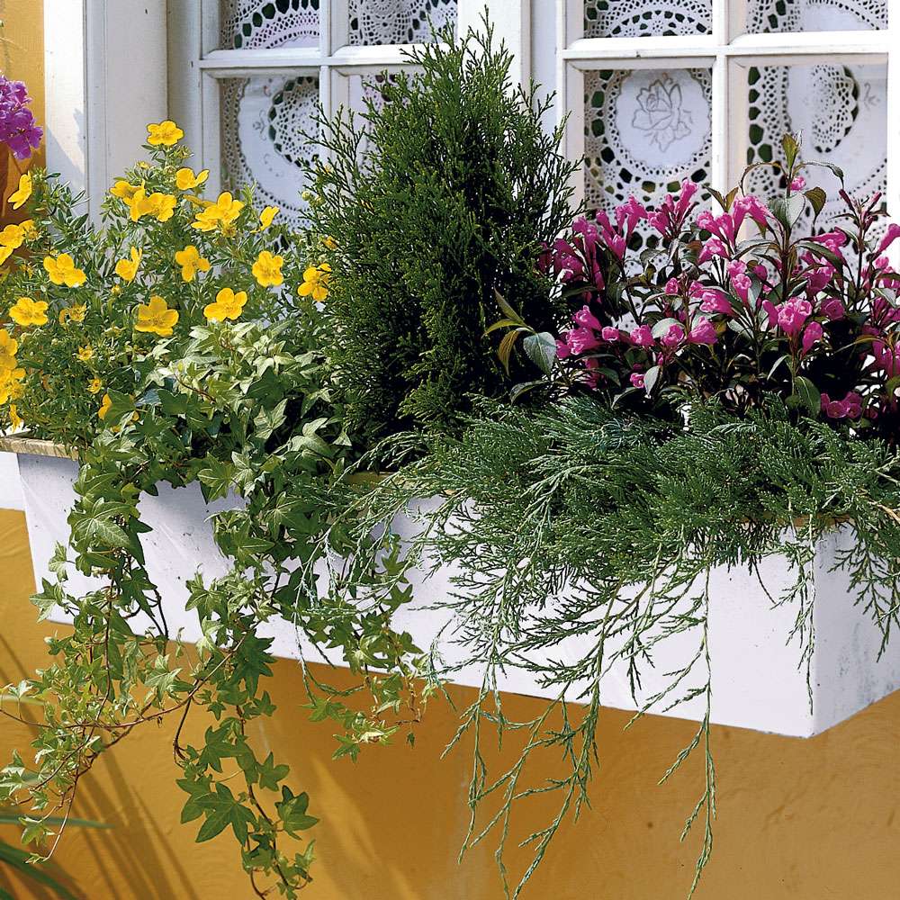 BalkonSortiment 'Engadin' GanzjährigeBalkonSortimente Balkon