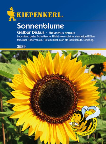 Sonnenblume 'Gelber Diskus'