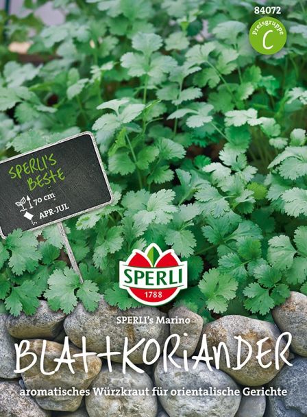 Blatt Koriander 'SPERLI´s Marino'