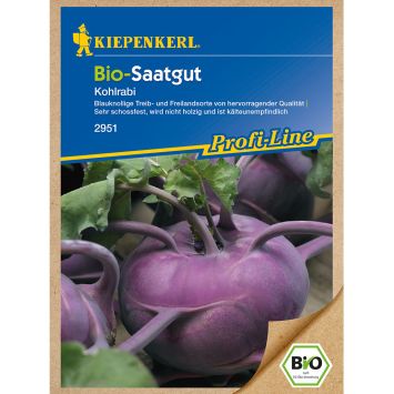 BIO-Kohlrabi, blau