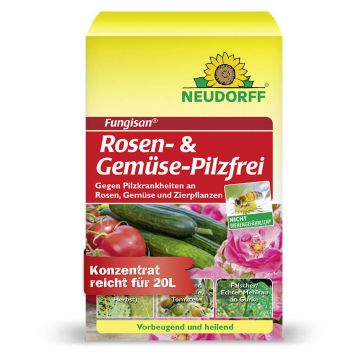 Fungisan® 'Rosen- & Gemüse-Pilzfrei' 16 ml (1 L / € 843,13)